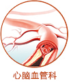 心脑血管
