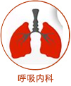 皮肤